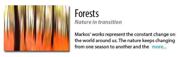 Markos Dolopikos Forest